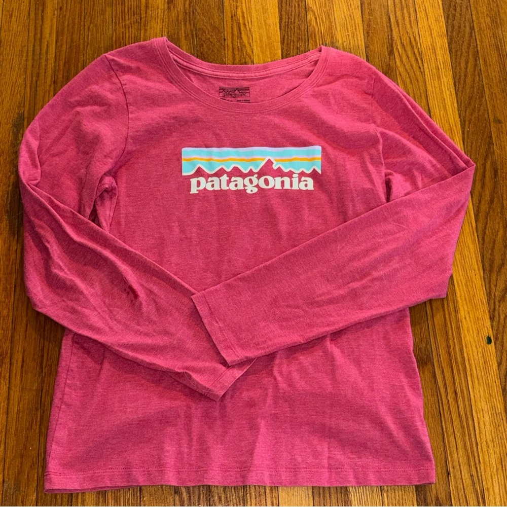 Patagonia Pink Long Sleeve Tee with Mountain Graphic